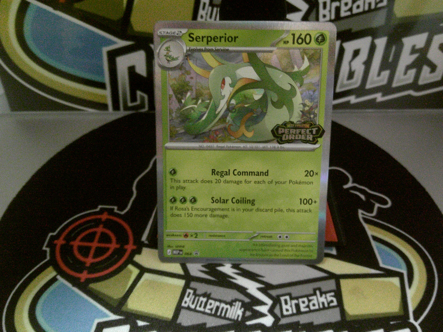 Pokemon - Serperior 064 Promo - Perfect Order - NEW.