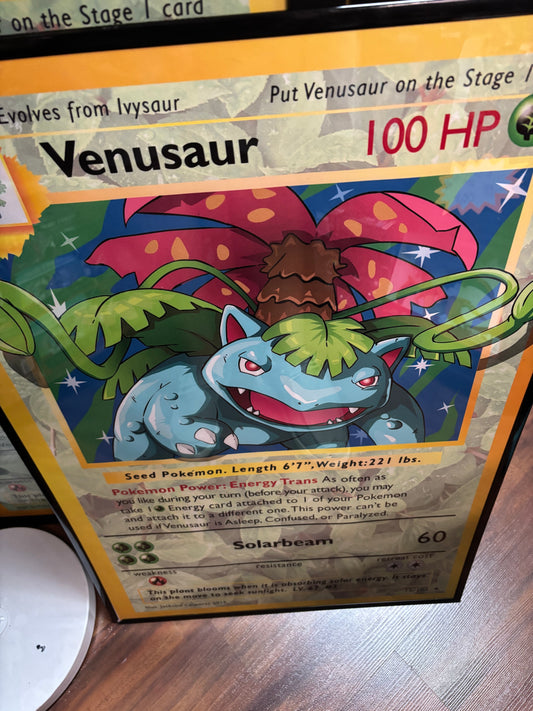 Pokemon Venusaur Poster Frame 20x30 Canvas. Read description.